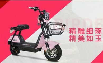 十大名牌老年代步电动三轮车 金彭上榜，第二第三隶属同集团